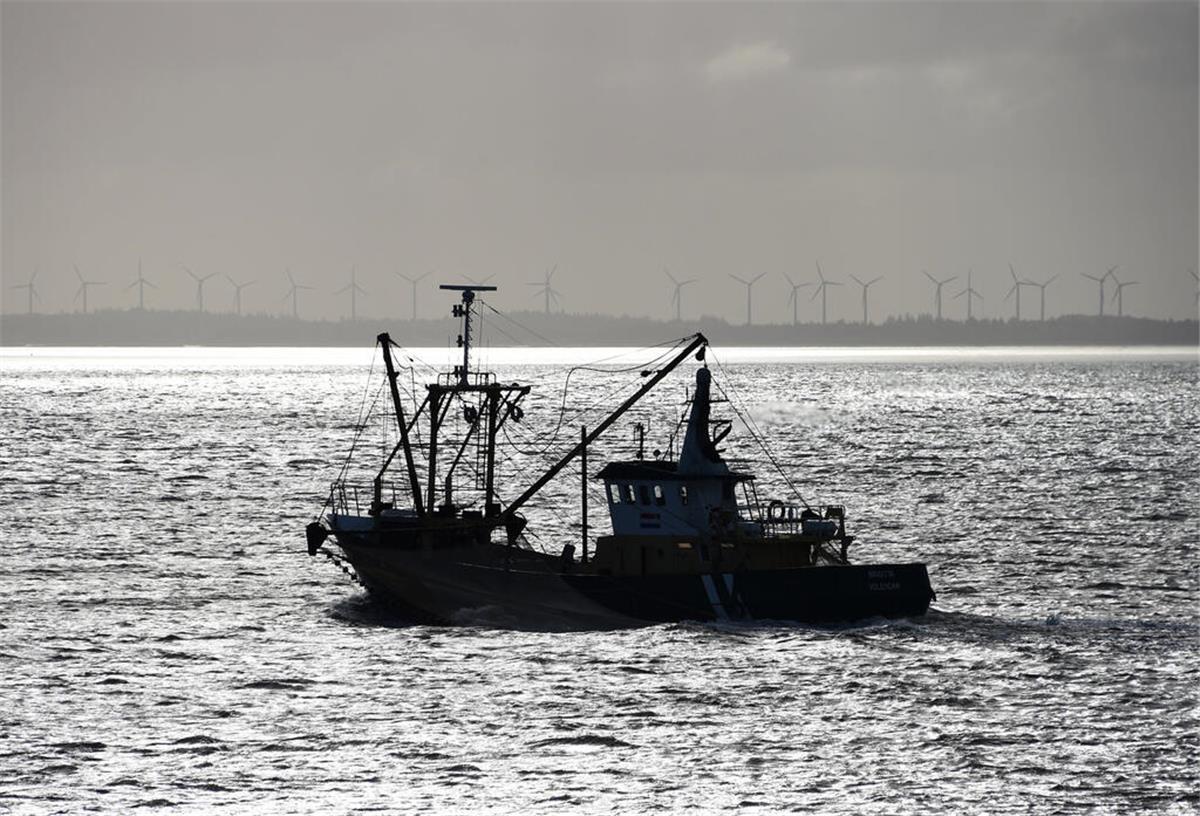 Nordsee-Revival: 600 Kilo schwere Fischgiganten kehren zurück ARCHIV - 16.04.2015, Schleswig-Holstein, List: Ein niederländischer Fischkutter hat auf der Nordsee zwischen List (Schleswig-Holstein) und der dänischen Insel Römö seine Netze ausgeworfen. (zu dpa: «Forscher fordern Neudefinition nachhaltiger Fischerei») Foto: Carsten Rehder/dpa +++ dpa-Bildfunk +++
