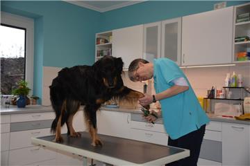Tierärztin Christiane Rode legt viel Wert darauf, ihre tierischen Patienten mit viel Ruhe zu behandeln. Das gilt natürlich auch für ihre eigene Hündin Bente. 