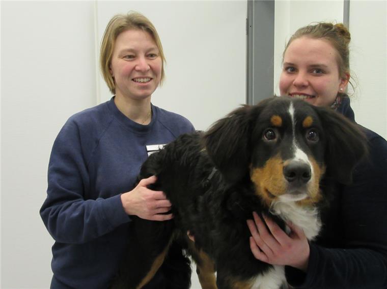 Tierärztin Melanie Maresch und Tierpflegerin Laura Schulze untersuchen Sammy, dem sein erstes Silvester bevorsteht: Er hat vor nichts Angst