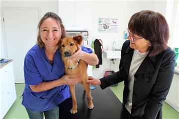 Tierärztin Swantje Künkel-Schmidt aus Debstedt (links) bestätigt, dass Khao bei bester Gesundheit ist. Sehr zur Freude von Anke Prusseit.