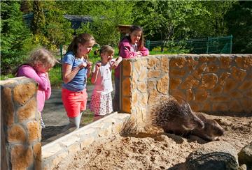 Tiere gucken - das ist ab Mittwoch im Zoo in der Wingst wieder erlaubt.