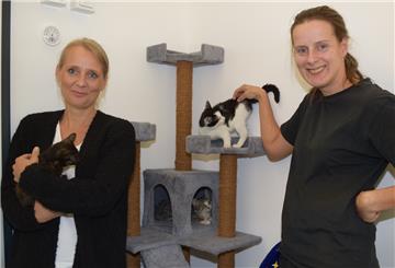 Tierheimleiterin Amelie Bensch (links) und Tierpflegerin Nadine Bruns haben zurzeit besonders viele Katzenkinder in ihrer Obhut.