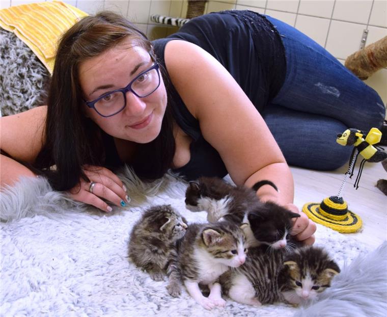Tierheimleiterin Jacqueline Adamietz kümmert sich in Nordenham zurzeit um 31 Katzenbabys. Sie werden an Interessenten abgegeben, wenn sie mindestens zwölf Wochen alt sind.