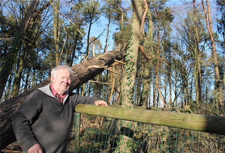 Tierparkleiter Heinz-Christian Steiner neben einer der zahlreichen Kiefern, die den beiden Sturmnächten Ende Februar zum Opfer fielen.