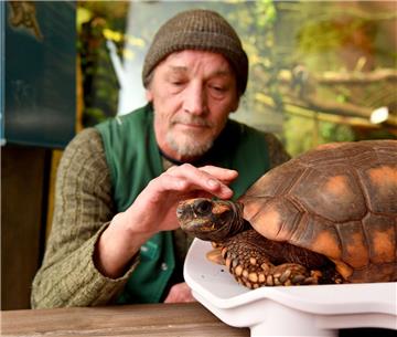 Tierpfleger Karl-Heinz Kretschmer krault Schildkröte Fred bei der Inventur im Zoo am Meer in Bremerhaven.