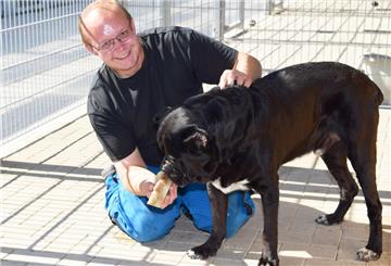 Tierpfleger Philipp Schöller serviert dem Cane Corso Conan eine eisige Erfrischung.