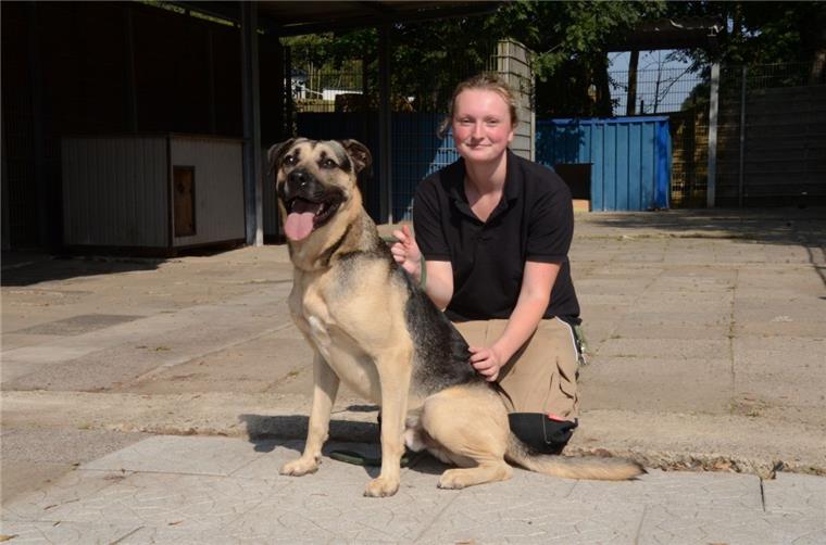 Tierpflegerin Lisa Otten hat Lucky in ihr Herz geschlossen, weil er sehr lieb ist. Kindern und  Männern gegenüber ist er aber ein wenig skeptisch.