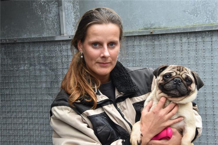 Nach erschreckendem Fund: Tierheim päppelt Möpse auf Tierpflegerin Nadine Bruns kümmert sich um den Rüden, den die Polizei am Montag aus einer verwahrlosten Wohnung in Lehe rettete.