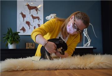 Tierphyiotherapeutin Wencke Eymers demonstriert an ihrem Hund ihre Angebote für Vierbeiner: Gesundheitschecks, Dehnübungen und Entspannungsmassagen.