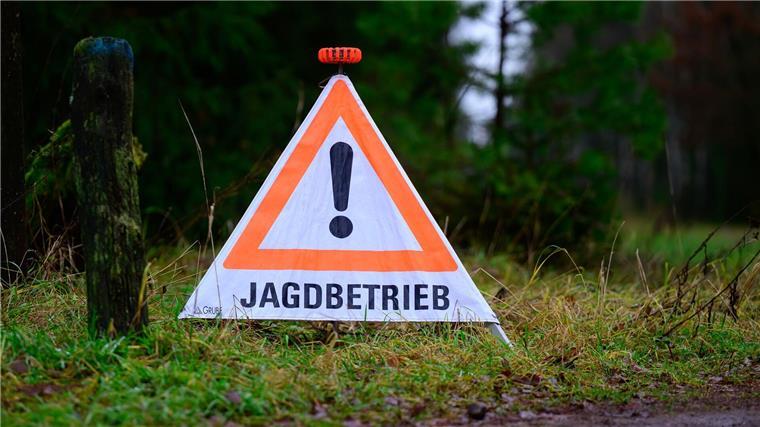 Tierschützer kritisieren unter anderem, dass weiterhin der Abschuss von Katzen erlaubt sein soll. (Symbolbild)