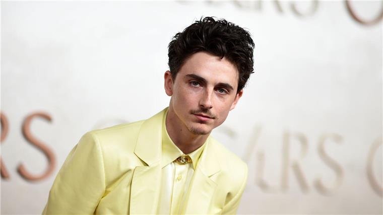 Timothée Chalamet hat sich den Kopf rasiert Timothée Chalamet hat ein wildes Promo-Video für seinen Film veröffentlicht. (Archivbild)