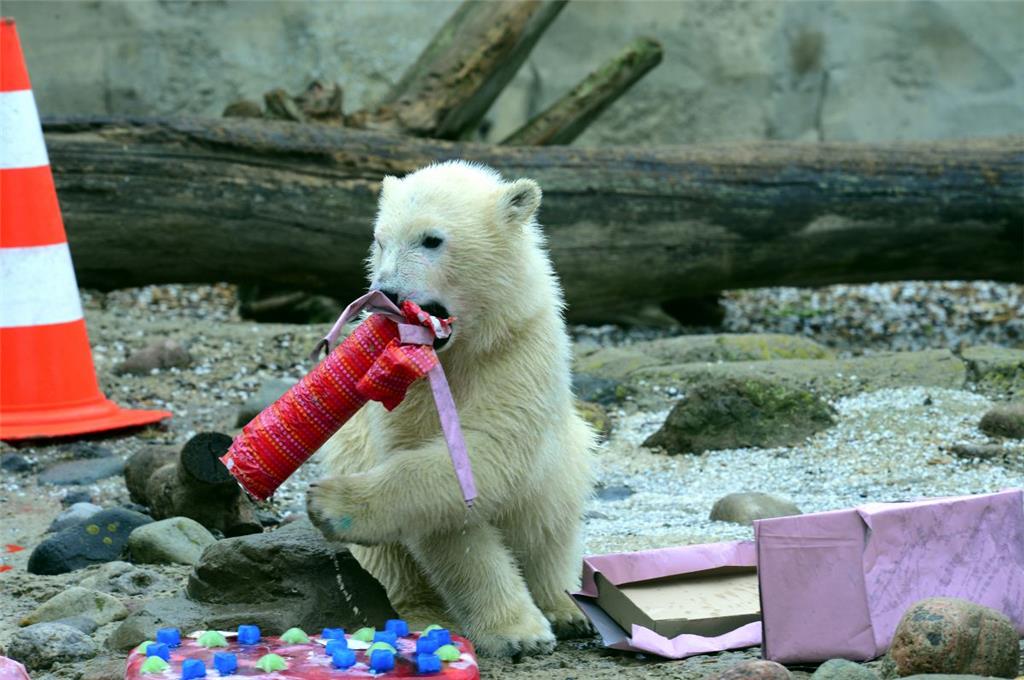 Tolle Geschenke zur Taufe: Darüber freut sich Lili aus dem Zoo am Meer ganz beso...