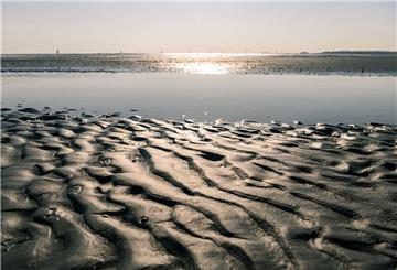Symbolbild für das Wattenmeer: Ein Blick auf einen Priel im Wattenmeer zwischen Cuxhaven und der Insel Neuwerk