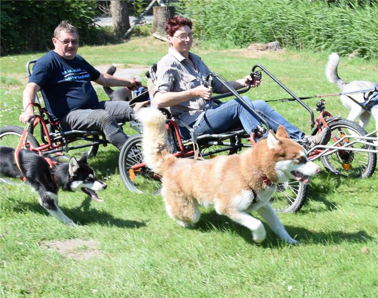 Touren mit dem Sacco Cart machen Klaus und Gabriele Bruns nur, wenn es kalt genug ist. Dann legen die Hunde aber richtig los.