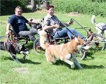 Touren mit dem Sacco Cart machen Klaus und Gabriele Bruns nur, wenn es kalt genug ist. Dann legen die Hunde aber richtig los.