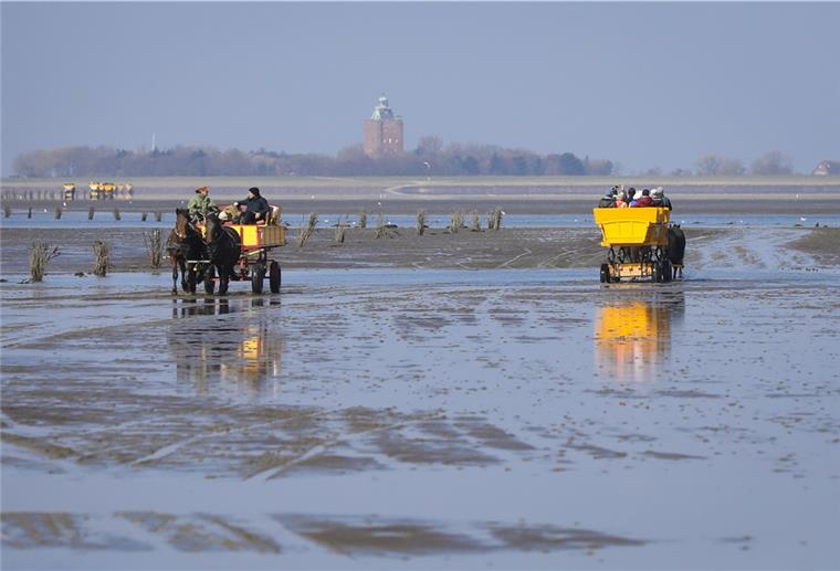 Touristen lieben die Kutschfahrt durchs Watt nach Neuwerk. Auf der Insel selbst leben aber immer weniger Menschen.