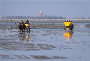 Touristen lieben die Kutschfahrt durchs Watt nach Neuwerk. Auf der Insel selbst leben aber immer weniger Menschen.