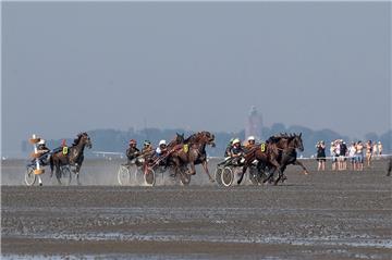 Traber vor Neuwerk. Foto: Adelmann
