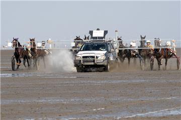 Traberstart hinter dem Wagen. Foto: Adelmann