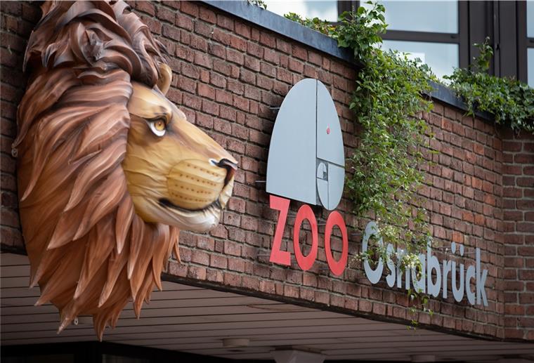 Ein Löwe ziert den Eingangsbereich vom Zoo Osnabrück.
