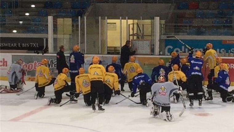 Training am Dienstag bei den Fischtown Pinguins.