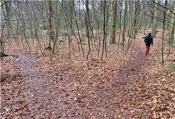 Trampelpfade bahnen sich ihren Weg kreuz und quer durch die Fleckenshölzer.