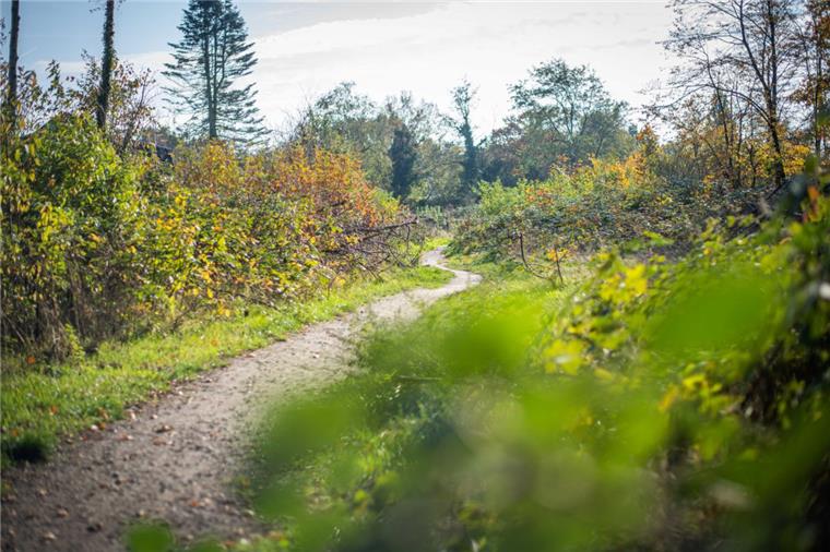 Treffpunkt in der Botanik: Jugendliche sollen laut Anwohnern im Hakenweg/Ecke Mecklenburger Weg ihr Unwesen treiben. 