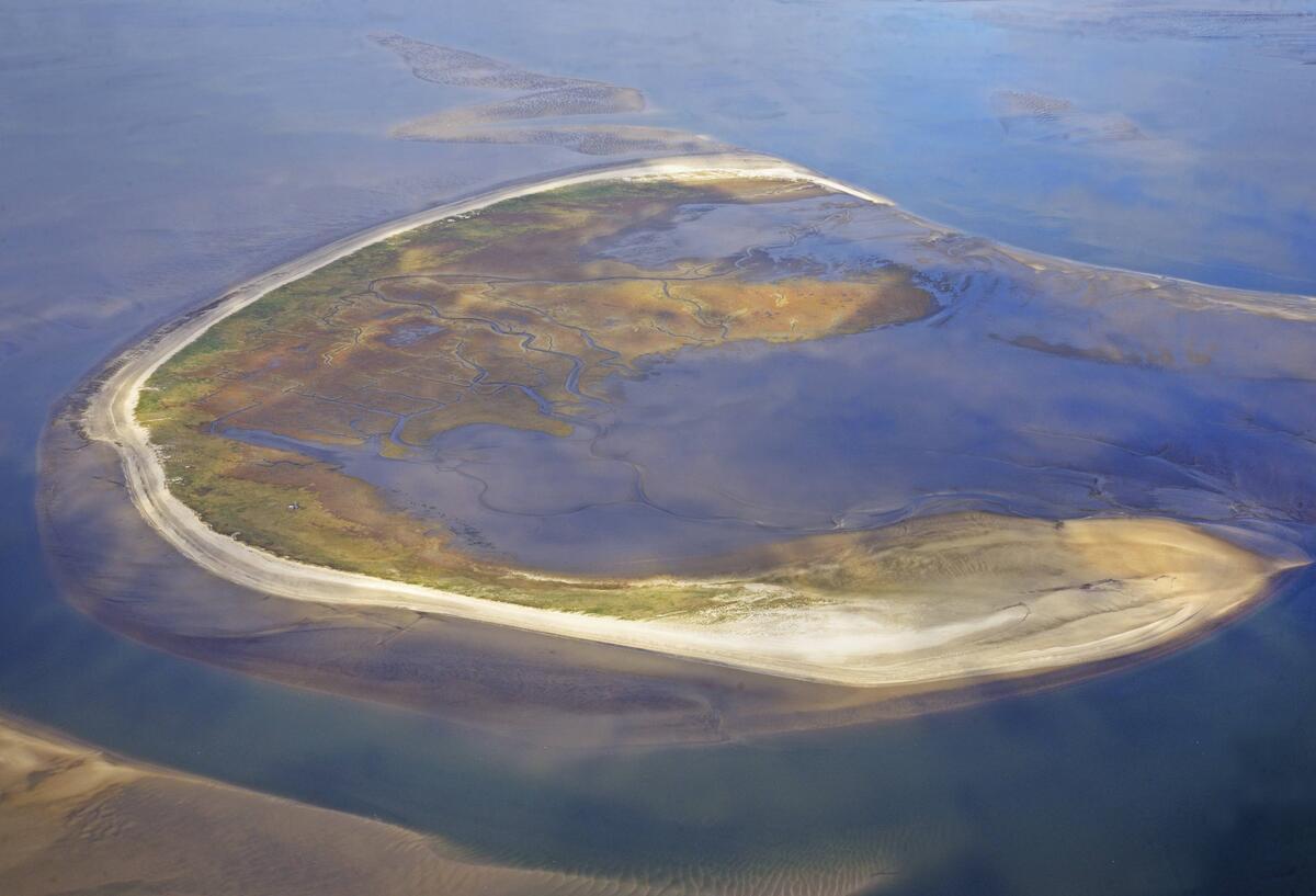Nordseeinsel Trischen.