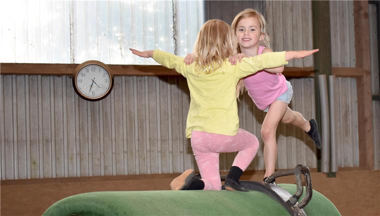 Voltigieren, Förderverein für Hippopädagogik