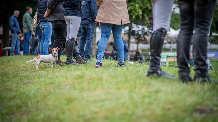 Elmloher Reitertage 2023 - Donnerstag. Im Bild: Trotz Regenwetter ist das Turniergelände für die Besucher noch gut erreichbar. 