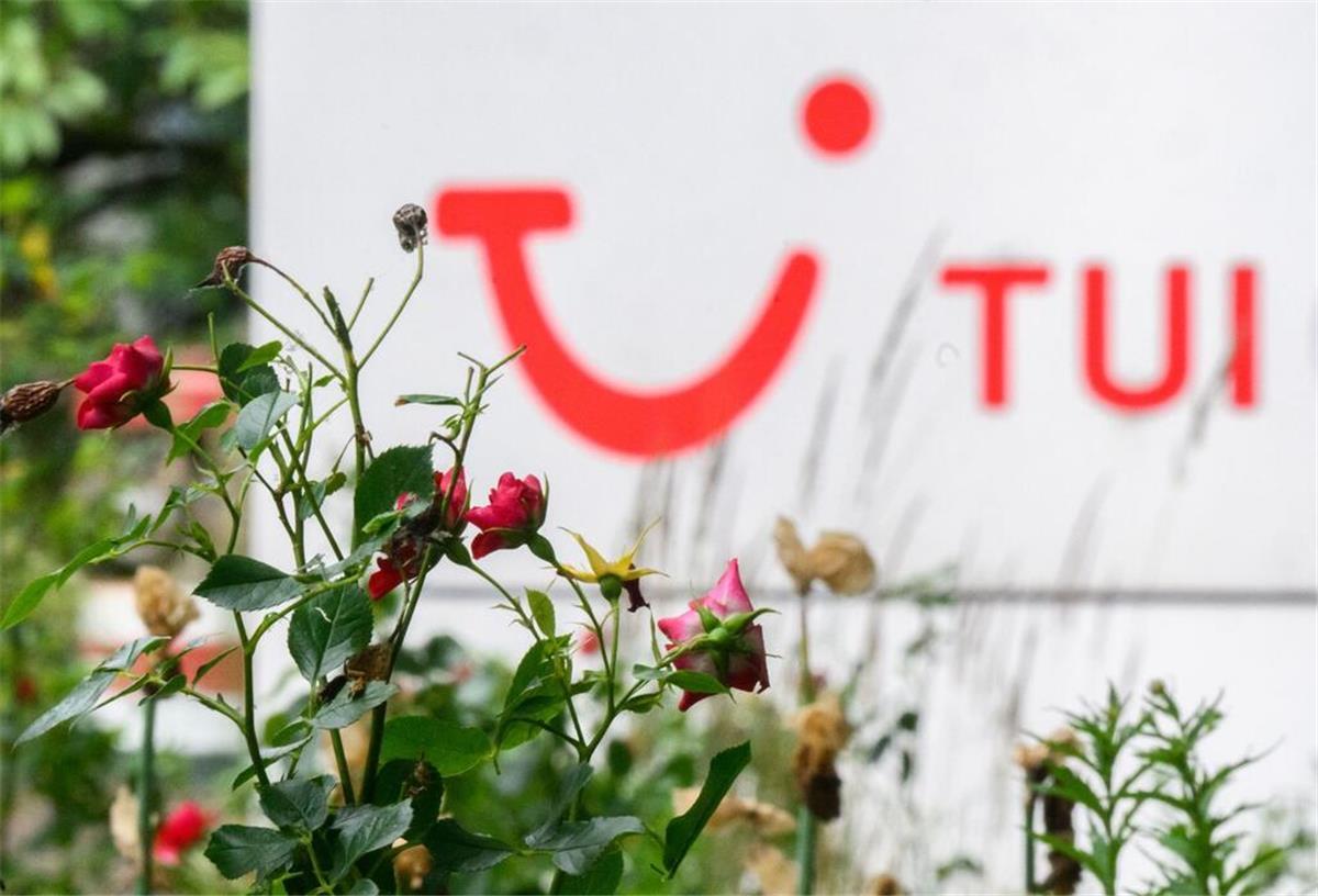 Rosen wachsen vor einer Tui-Zentrale.