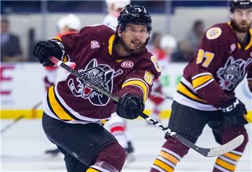 Tye McGinn, hier im Trikot der Chicago Wolves, wechselt aus der AHL zu den Fischtown Pinguins.