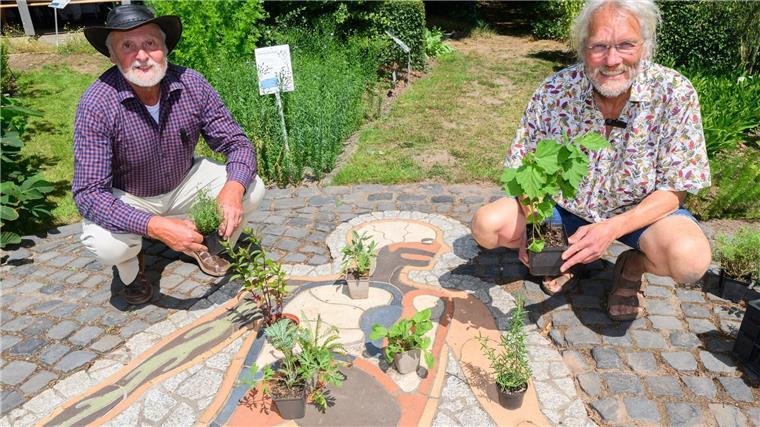 Udo Eilert vom Förderverein Apothekergarten (links) und Jörg Ledderbogen vom Schulbiologiezentrum kümmern sich um die Heilpflanzen.