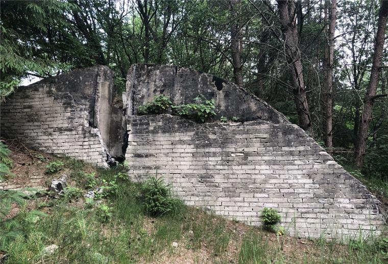 Die Überreste eines Bunkers stehen in einem Wald.