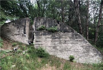 Die Überreste eines Bunkers stehen in einem Wald.