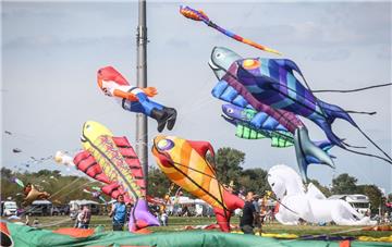 Über Lemwerder stiegen am Wochenende wieder große bunte Drachen auf. 