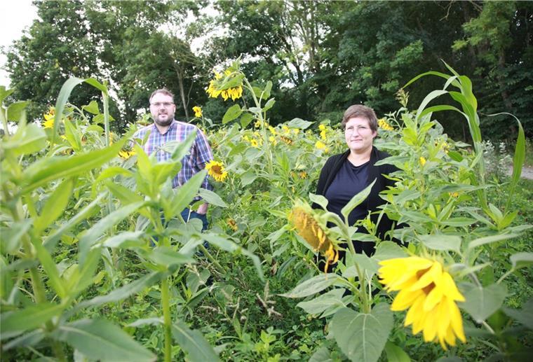 Überraschungserfolg: Erst im Mai hatte sich die Grünen-Gruppe in Wurster Nordseeküste gegründet. Ab 1. November sitzen mit Anja Hanke, Jan-Hendrik Sibberns, Heike Klasen (nicht im Bild) und Marius Richter (nicht im Bild) gleich vier Grüne im Gemeinderat.