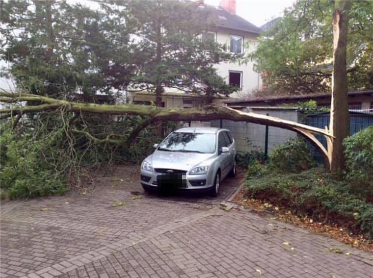 Glück im Unglück: Auto bleibt von fallendem Baum in Lehe verschont Um ein Haar wäre der Baum auf dem Auto in Bremerhaven-Lehe gelandet.