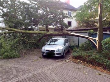 Um ein Haar wäre der Baum auf dem Auto in Bremerhaven-Lehe gelandet.
