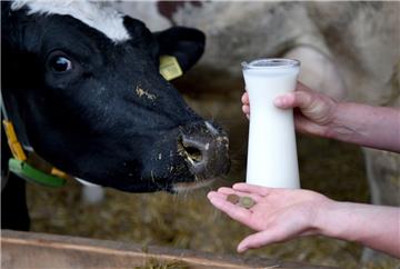 um mehr als 20 Cent erhalten viele Landwirte für einen Liter Milch. Zu wenig, um damit über die Runden zu kommen.  Foto Hildenbrand