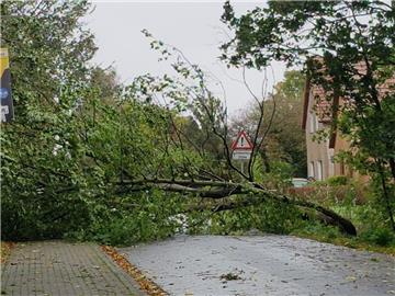 Umgekippte Bäume haben die Einsatzkräfte in der Wesermarsch beschäftigt.