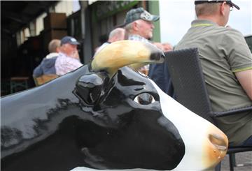 Ums Milchvieh müssen sich einmal im Jahr andere kümmern: Sonst sitzen diese Landwirte während der Tarmstedter Ausstellung immer im Festzelt an Tisch eins. Diesmal findet die Agramesse nur digital statt.