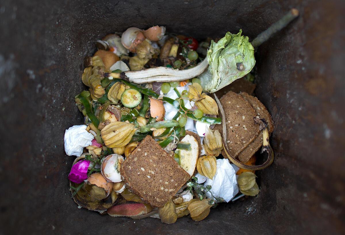 Müll richtig trennen: Das gehört wirklich in die Biotonne Eine Biomülltonne.