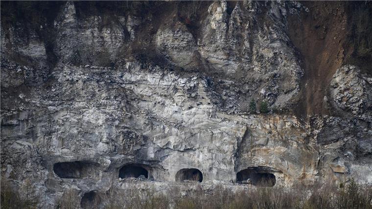 Gipsabbau im Südharz: Umweltschützer gegen Probebohrungen Umweltschützer fürchten durch Probebohrungen Auswirkungen auf die seltenen Gipskarstformationen im Harz. (Archivbild)