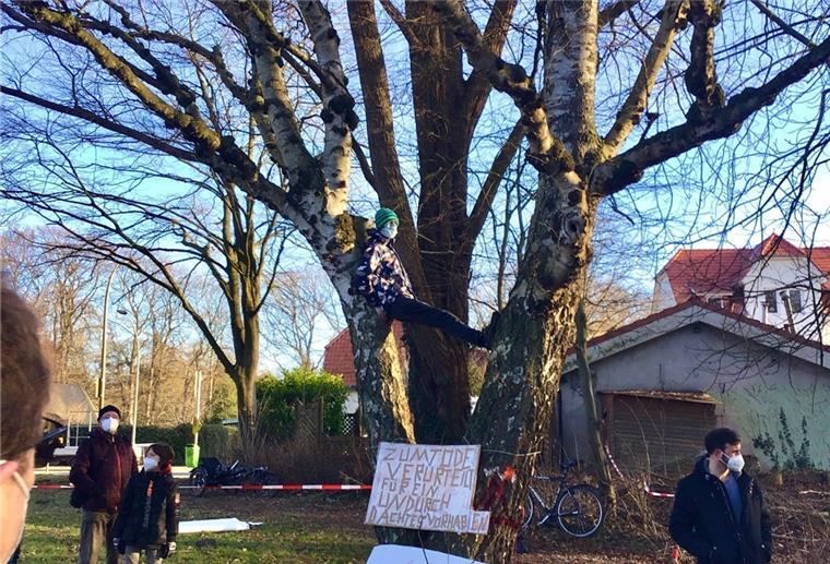 Neue Kita in Bremerhaven wird vorerst nicht gebaut Umweltschützer sind auf dem Baum: An der Ecke Jägerhof/Gaußstraße mussten alte Bäume fallen, um das Grundstück nahe des künftigen Havenhospizes für den Bau einer Kita vorzubereiten.