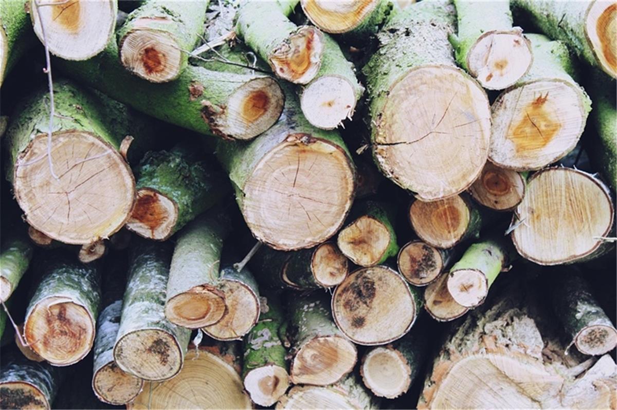 Wurster Nordseeküste: Holzdiebstahl in Midlumer Feldmark Unbekannte haben in der Midlumer Feldmark Holz gestohlen.