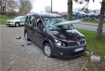 Unbekannte haben in Elsfleth diesen Wagen völlig demoliert. 