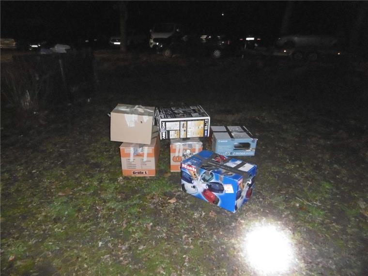 Elf Hauskatzen in Delmenhorst in Kartons ausgesetzt Unbekannte Personen haben Hauskatzen in Kartons gepackt und in Delmenhorst ausgesetzt.
