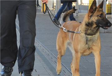 Uniformähnliche Kleidung, Pfefferspray und ein Schäferhund - so ähnlich wie auf diesem Foto dürfte der 17-Jährige herumgelaufen sein.