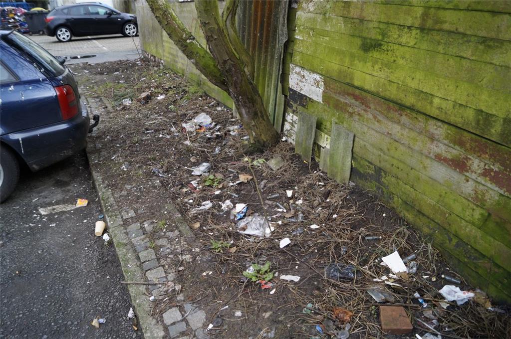 Unrat auf dem &quot;Grünstreifen&quot; am Parkplatz an der Weichselstraße in Lehe. Foto: Hinkelmann